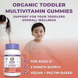 MaryRuth's Vitamin Gummy | Kids and Toddlers Age 2+ | USDA | Daily Vitamin C | D3 | Zinc | Mixed Berry and Cherry | 2 Month Supply