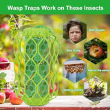 Sancodee 2 Pcs Wasp Trap Outdoor Hanging, Insect Catcher for Wasps and Carpenter Bees, Bee Killer Sticky Bug Boards Yellow Jacket Trap with Bait Reservoir, Non-Toxic Reusable Wasp Hornet Trap (Green)