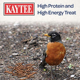 Kaytee Wild Bird Food Mealworms For Bluebirds, Wrens, Robins, Chickadees, Woodpeckers, Cardinals & Chickens, 2 Pound