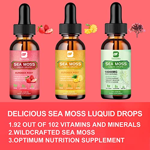 B BEWORTHS Sea Moss Liquid Drops - Organic Irish Sea Moss Gel with Burdock Root Supplement, Seamoss Gel for Immune Support, Joint & Thyroid Support, Detox Cleanse & Digestion Support