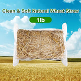 Natural Wheat Straw - 1 LB Dry Straw, Clean and Soft Decorative Straw Bale for Stray Cats Dogs Yard Farm Pets Garden Mulch Grass Cover