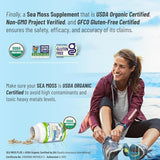 Power By Naturals Sea Moss Plus - Certified Organic Wildcrafted Irish Seamoss, Bladderwrack & Burdock Root - Supplement for Immunity, Thyroid Support, Gut Health, Gluten-Free, 60Ct (Pack of 1)