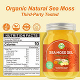 Sea Moss Gel, Organic Raw Flavored Irish Seamoss Gel Immune and Digestive Support Vitamin Mineral Antioxidant Supplements, Turmeric, Ginger 18.5oz