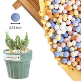 CARURBODY 5LBS Ceramsite Clay Pebbles for Orchid - Mini Leca Clay Pebble for Plants Drainage - Perfect Ceramsite Balls as A Soil Topper for Indoor Plants, Cacti Succulents Bonsai.