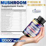 12000mg Mushroom Complex Supplements for 3-Month Supply - Brain Health, Immune System, Memory & Energy Production - 13in1 With Lions Mane Mushroom, Bacopa, Reishi & More - 90 Vegan Capsules