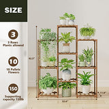 Bamworld Stand Indoor Plant Rack Wood Outdoor Tiered Shelf for Multiple Plants, Ladder Holder