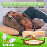 Flea Traps for Inside Your Home,New 2023 Flea Light Trap for Indoor with Light Refills and Sticky Pads,Indoor Electronic Flea Killer for House,Family and Pet Friendly Sticky Flea Trap(2 Pack)