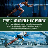 Dymatize Vegan Plant Protein, Creamy Chocolate, 25g Protein, 4.8g BCAAs, Complete Amino Acid Profile, 15 Servings