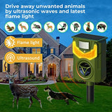 YARDefense Solar Powered Ultrasonic Animal Repeller with Flame Simulated Lighting Motion Sensor and Flame-Proof Enclosure Deters Stray Canines Foxes Raccoons Skunks Rabbits and Deer 1 Pack R33S