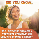 XPRS Nutra Soy Lecithin Granules Non GMO - Lecitina de SOYA - 100% Pure Soy Lethicin Granules - Premium SOYA Lethicin Granules - Food Grade Fat Emulsifier Suitable for Baking (16 Ounce)