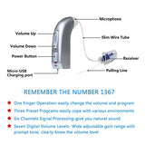 Banglijian Rechargeable Hearing Aid RIC(Receiver in canal) for Seniors and Adults with Digital Noise Cancelling and Feedback Cancellation, Powerful Digital Hearing Aid (Left Ear)