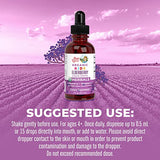 MaryRuth's | USDA Organic Elderberry Liquid Drops for Kids Ages 4-13 | Elderberry Extract | Immune Support & Overall Health | Blueberry + Raspberry | Vegan | Non-GMO | 30 mL