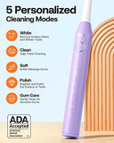 Bitvae Ultrasonic Electric Toothbrush for Adults and Kids, ADA Accepted Power Toothbrush with 8 Brush Heads and 1 Holder, 5 Modes, IPX7 Waterproof, Purple D2