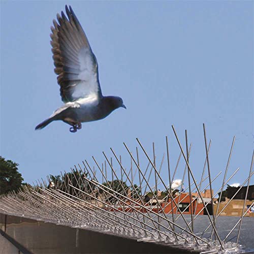 Bird-X Original Stainless Steel Bird Spikes, 6-inch Regular Wide Spikes Since 1964, Bird Spikes for Pigeons and Other Small Birds, Easy to Install, Contains 2 ft. Strips, Cover 24 Linear Feet Area