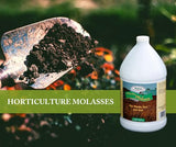 Medina Horticultural Molasses 4800 Sq. Ft. Liquid Gal