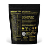 Ambrosia Planta - Premium Organic Plant-Based Protein | Vegan & Keto Friendly | Gourmet Flavors with No Bloating or Stomach Upset | Gluten & Soy Free | No Added Sugar | 14 Servings | (Vanilla)