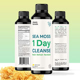 Sea Moss 1 Day Cleanse - Full Body Detox to support bowel movements, Kidney Health, Liver Health, Gut Health, Immune Health and Energy Levels | 8 floz