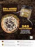 RootMax - Mycorrhizal Fungi Rooting Powder | 50X More Potent Than Rooting Hormone for Cuttings | Enhanced Formula for Bigger Roots | Treats Upto 40 Plants (200 g/7.05 oz)