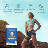 Sunwarrior Vegan Organic Protein Powder Plant-Based | BCAA Amino Acids Hemp Seed Soy Free Dairy Free Gluten Free Synthetic Free Non-GMO | Vanilla 17 Servings | Warrior Blend