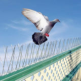 Flexible Stainless Bird Spikes with Plastic Base, Pigeon Fence (5 Feet Coverage 3 Strips)