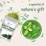 Micro Ingredients Organic Barley Grass Juice Powder, 10 Ounce, Cold Pressed, US Grown, Rich in Immune Vitamin, Fibers, Minerals, Antioxidants and Protein, Support Immune System and Digestion, Vegan