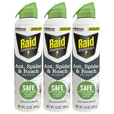 Raid Essentials Ant Spider, and Roach Killer Aerosol Spray, Child & Pet Safe, Kills Insects Quickly, for Indoor Use 10 Ounce (Pack of 3)