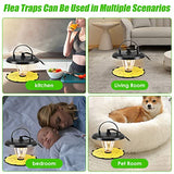 Flea Trap Indoor 2 Pcss,Flea Strap Flea Killer Trap Pad Bed Bug Trap with 10 Glue Discs Odorless Non-Toxic flea 4 Light Bulb for Inside Your Home Like Fleas,Flies,Mosquitoes,Gnats,Moths