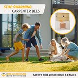 Bee Warehouse - Carpenter Bee Trap - Wood Boring Bee Trap - Unique Catch & Release Outdoor Carpenter Bee Trap - Includes Hanging Hardware & 5 Bee Dams