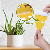 120 Pack Fungus Gnat Traps for House Indoor, Fungus Traps Fruit Fly Traps for Indoors Gnats Sticky Traps for Plants Yellow Sticky Traps for Gnats