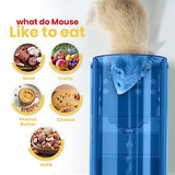 Utopia Home Humane Mouse Traps Indoor for Home (Pack of 4) - Blue Reusable Mice Traps for House Indoor - Pet Safe Mouse Trap Easy to Set, Quick, Effective, & Safe Rodent Trap