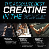 Muscle Feast Creapure Creatine Monohydrate Powder, Vegan Keto Friendly Gluten-Free Easy to Mix, Mass Gainer, Muscle Recovery Supplement and Best Creatine for Muscle Growth, Unflavored, 500g