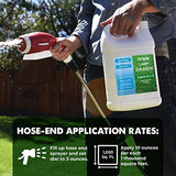 Superior 15-0-15 Liquid Fertilizer Nitrogen & Potash Lawn Food - Concentrated Spray- Any Grass Type- Simple Lawn Solutions Green, Growth - Humic Acid - Phosphorus-Free (1 Gallon)