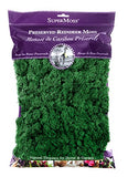 SuperMoss (21757) Reindeer Moss Preserved, Forest, 8oz (200 cubic inch)