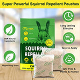 TSCTBA Squirrel Repellent Outdoor Pouches, Chipmunk Repellent Outdoor, Squirrel Deterrent, Chipmunk Deterrent, Squirrels Repellant for Bird Feeders/Attic, Keep Squirrel Away for Garden/Plant-8P