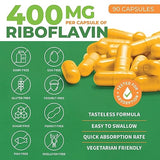ForestLeaf Vitamin B2 Riboflavin, 400mg – Non-GMO, Gluten Free Daily Dietary Supplement Unflavored,Capsule, 90 Count (Pack of 1)