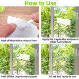 Kensizer 30-Pack Window Fly Traps for Indoors, Paper Sticky Strips, House Fly Catcher Clear Trap for Home, Lady Bug Killer Traps