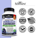 Elderberry with Zinc and Vitamin C for Adults - Immune Support Vitamins for Women and Men Natural Elderberries Black Sambucus Capsules - Immune Defense Multiminerals Supplement, Gluten-Free, 60 Ct