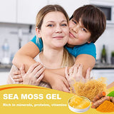 Sea Moss Gel, Organic Raw Flavored Irish Seamoss Gel Immune and Digestive Support Vitamin Mineral Antioxidant Supplements, Turmeric, Ginger 18.5oz