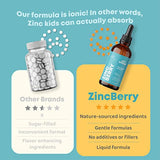 Liquid Zinc Supplement Drops - Zinc for Kids and Elderberry Extract, Immune Support Toddler Zinc, Sambucus Elderberry Syrup, Antioxidant Immune Vitamin Drops - Fast Absorption, Vegan, 60 Servings