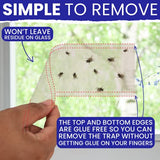 Window Fly Traps Indoor Clear 15pk Strips Indoor. The Only Double Strip Trap for Home. Paper Catchers Inside Home Flypaper House Killer Bug Catcher