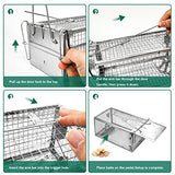 SZHLUX Rat Trap,Mouse Traps Work for Indoor and Outdoor,Small Rodent Animal-Mice Voles Hamsters Cage,Catch and Release(Medium), Silver (SZ-SL3616D)