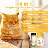Easy@Home Dog Diabetes Urine Test: 10 Parameters Urine Test Strips for Dogs & Cats Animal Urinalysis Reagent Strips - Detect Urinary Tract Infections UTI Bladder Kidney Liver Function 100 Counts