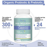 Probiotics for Women and Men, 300 Billion CFU 24 Strains Probiotics with 15 Organic Herbs Prebiotics Blend, Shelf Stable Probiotic Supplement for Digestive Immune & Whole-Body Health - 240 Capsules