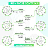 TrueSeaMoss Wildcrafted Irish Sea Moss Gel – Nutritious Raw Seamoss Rich in Minerals, Proteins & Vitamins – Health Supplement, Vegan-Friendly Made in USA (Blue Spirulina)