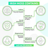 TrueSeaMoss Wildcrafted Irish Sea Moss Gel - Nutritious Organic Raw Seamoss Rich in Minerals, Proteins & Vitamins –Health Supplement, Vegan-Friendly Made in USA (Elderberry, Pack of 5)