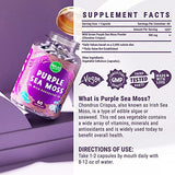 MAJU's Powerful Purple Sea Moss Capsules (60 ct), Extra-Strength Purple Minerals, Chondrus Crispus, Stronger Than Gel, Compare to Organic Irish Seamoss Capsule, Wild Harvested Powder Pills