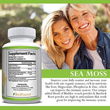 Simple Life Nutrition Organic Irish Sea Moss Capsules 1400MG - Advanced with Burdock Root, Bladderwrack & Black Pepper - Immune System, Gut & Thyroid Cleanser Sea Moss Gel Powder Supplement - 60CT