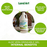 Land Art Pure Aloe Vera Drinkable Gel Unflavored - Cold-Processed Inner Filet - from Organic Fresh Leaves from Texas - for Heartburn Relief - Acid Reflux - 64 fl oz