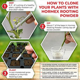 Hormex Rooting Powder #16 (1 Pack) - Rooting Hormone for Difficult to Root Plants - Fast & Easy Way to Clone Plants from Cuttings - Stronger, Healthier Roots Using Cloning Powder - 1.6 IBA