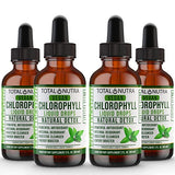 Liquid Chlorophyll Drops 50mg: Vegan Chlorophyll Liquid Drops for Natural Energy Boost, Immune Support, Body Detox for Skin Care, Internal Deodorant Mint Flavor, Non-GMO, Gluten Free Total Nutra 4pack